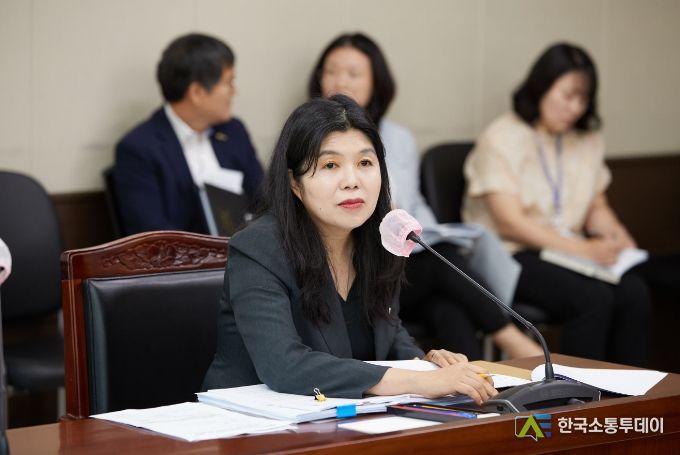 용인특례시의회 안지현 의원