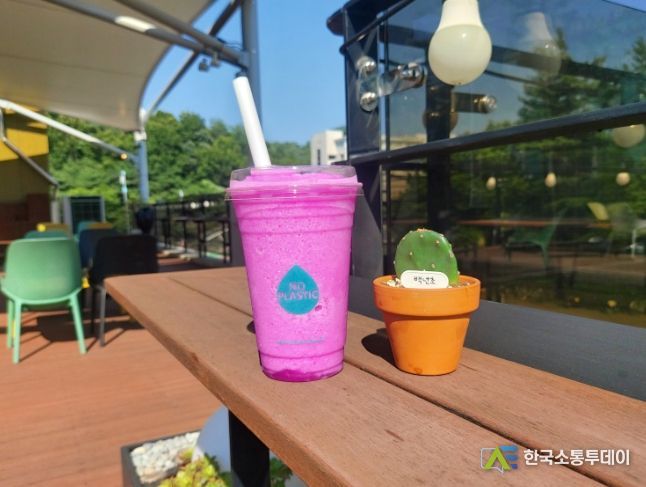 고야청년카페 백년초요거트스무디