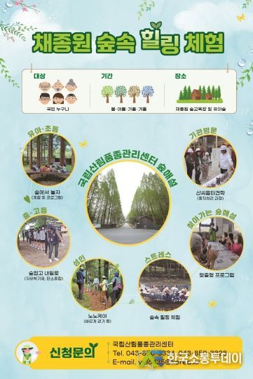 숲속 힐링 체험, 산림교육 프로그램 운영